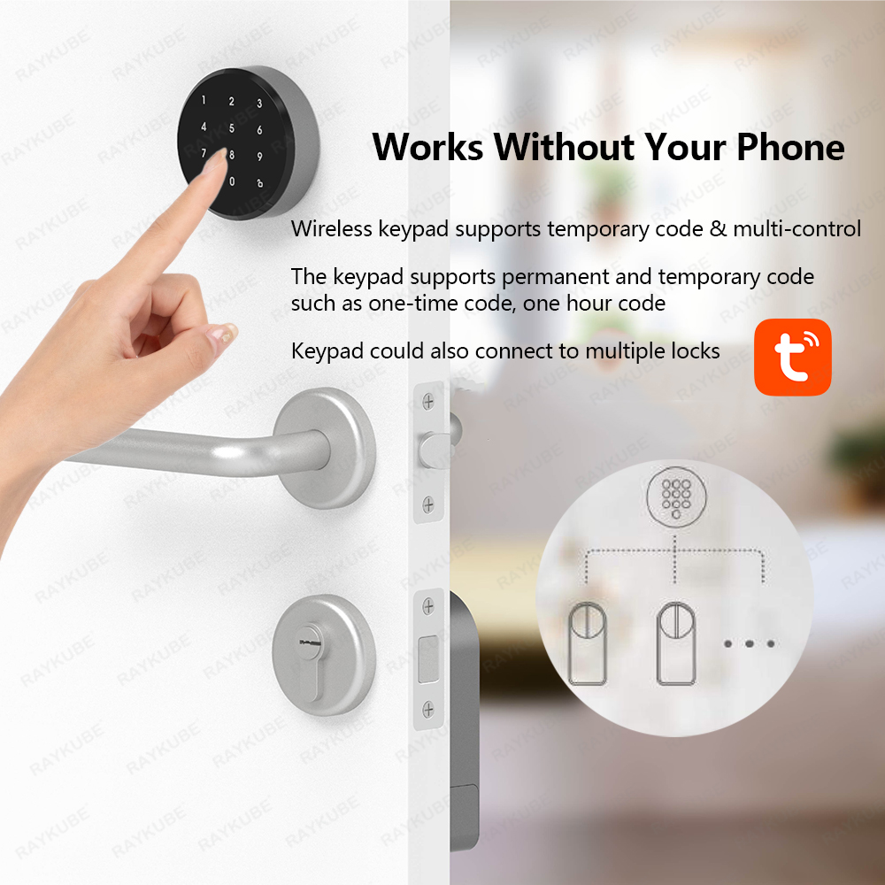RAYKUBE A1 Pro Tuya BEL スマートドア - Home Security Keypad のレビューと価格