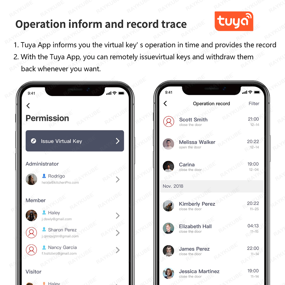 RAYKUBE A1 Pro Tuya BEL スマートドア - Home Security Keypad のレビューと価格