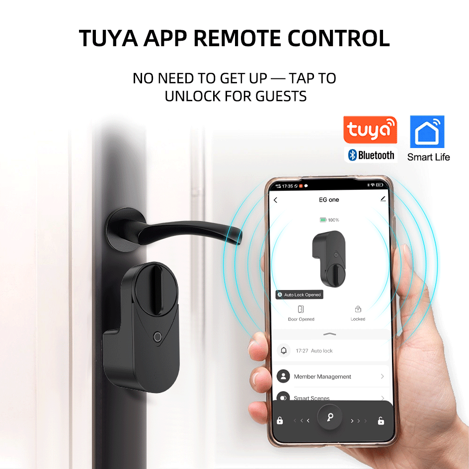 RAYKUBE EG One Tuya BLE スマートロッ - Home Security Keypad のレビューと価格